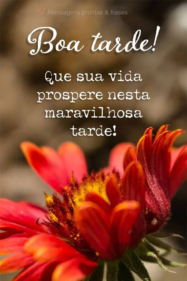 Que sua vida prospere nesta maravilhosa tarde! Boa tarde!