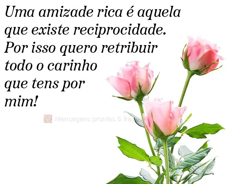 Uma amizade rica é aquela que existe reciprocidade. Por isso quero retribuir todo o carinho que tens por mim!