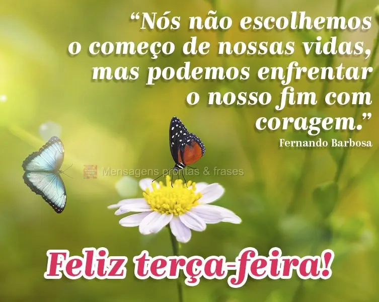 “Nós não escolhemos o começo de nossas vidas, mas podemos enfrentar o nosso fim com coragem.” Feliz terça-feira! Fernando Barbosa