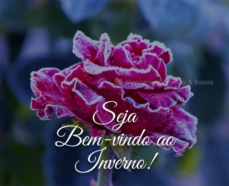 Seja Bem-vindo ao Inverno!