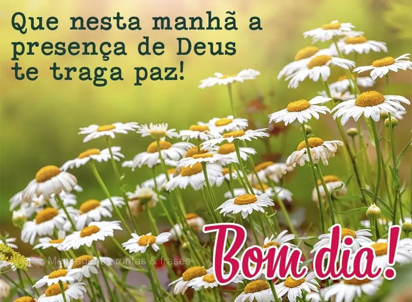 Que nesta manhã a presença de Deus te traga paz! Bom dia!