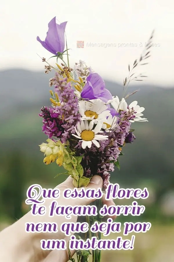 Que essas flores te façam sorrir nem que seja por um instante!