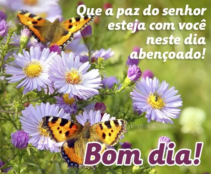 Que a paz do Senhor esteja com você neste dia abençoado! Bom dia!