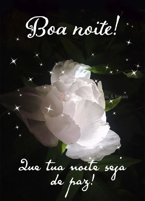 Que tua noite seja de paz! Boa noite!