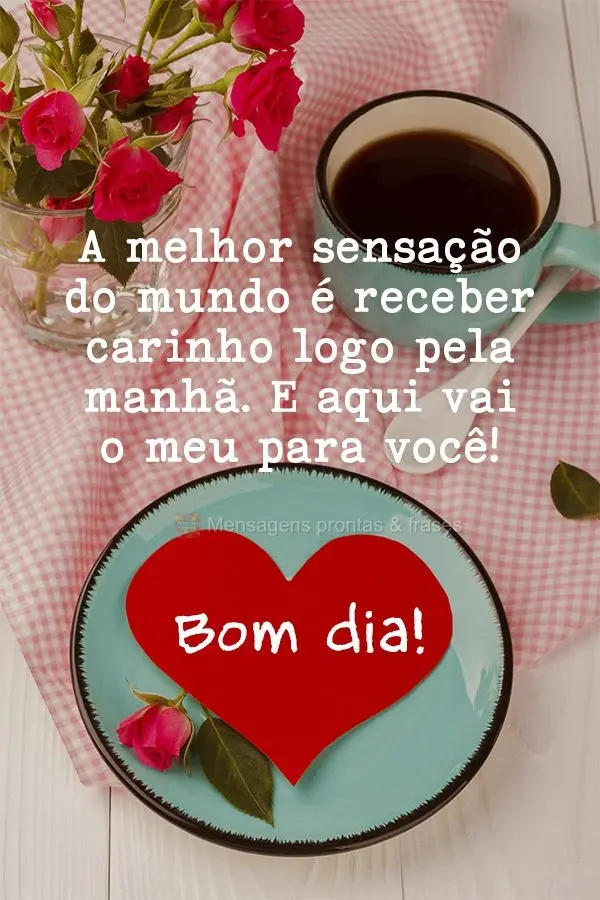 A melhor sensação do mundo é receber carinho logo pela manhã. E aqui vai o meu para você! Bom dia!