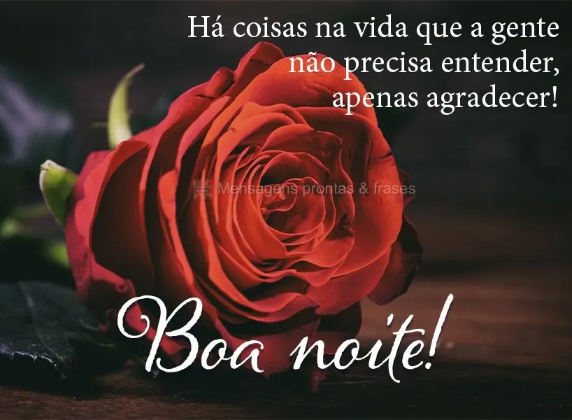 Há coisas na vida que a gente não precisa entender, apenas agradecer! Boa noite!