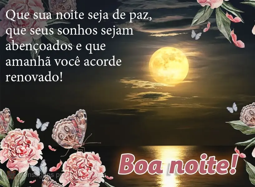 Que sua noite seja de paz, que seus sonhos sejam abençoados e que amanhã você acorde renovado! Boa noite!