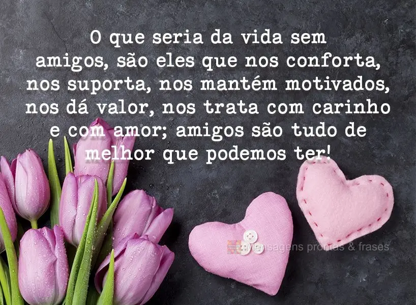 O que seria da vida sem amigos? São eles que nos conforta, nos suporta, nos mantém motivados, nos dá valor, nos trata com carinho e com amor; amigos s...