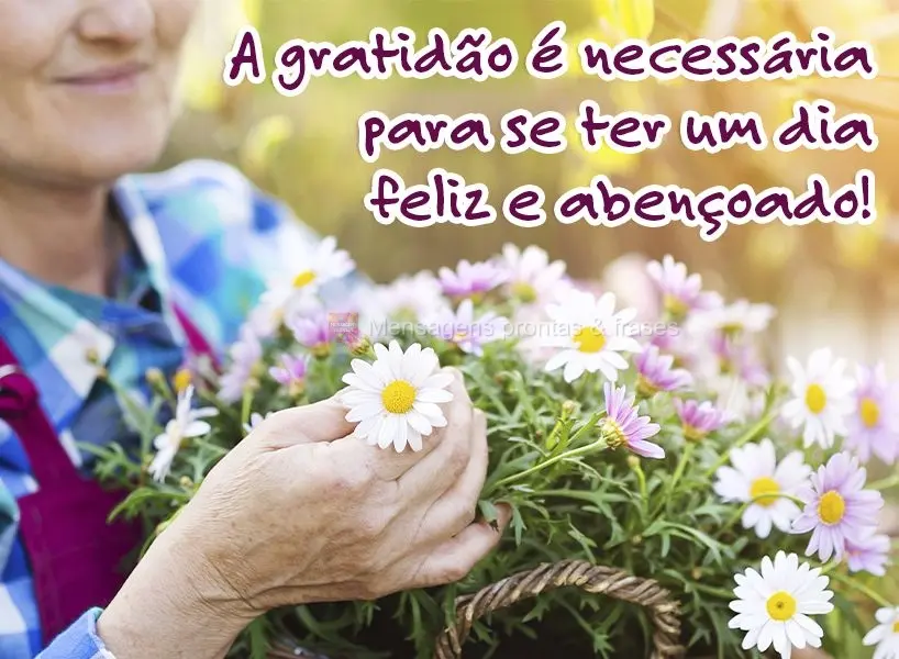 A gratidão é necessária para se ter um dia feliz e abençoado!