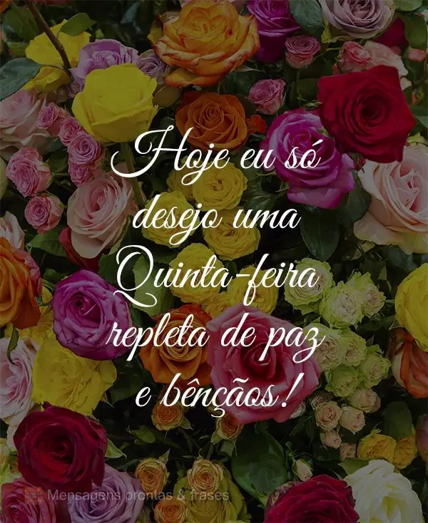 Hoje eu só desejo uma Quinta-feira repleta de paz e bênçãos!