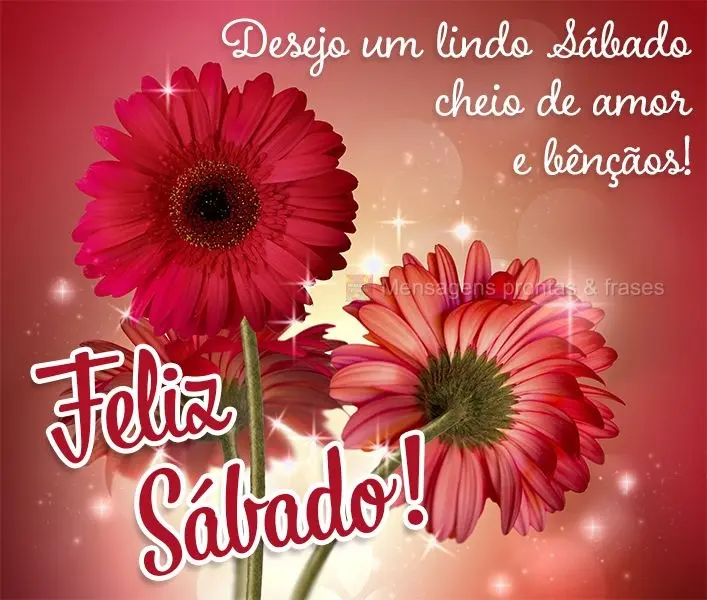 Desejo um Lindo Sábado cheio de amor e bênçãos! Feliz Sábado!