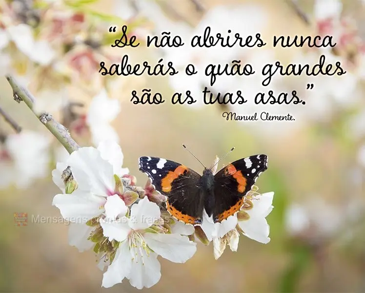 "Se não abrires nunca saberás o quão grandes são as tuas asas.” Manuel Clemente.