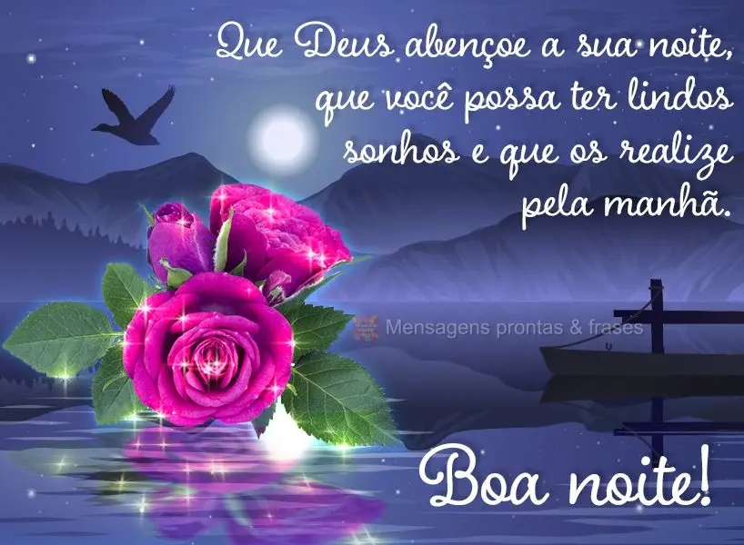 Que Deus abençoe a sua noite, que você possa ter lindos sonhos e que os realize pela manhã. Boa noite!