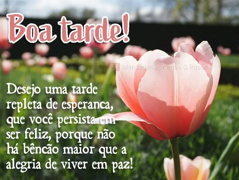 Desejo uma tarde repleta de esperança, que você persista em ser feliz, porque não há bênção maior que a alegria de viver em paz! Boa tarde!