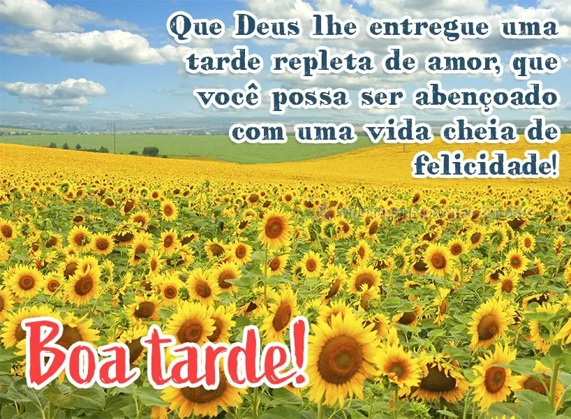 Que Deus lhe entregue uma tarde repleta de amor. Que você possa ser abençoado com uma vida cheia de felicidade! Boa tarde!