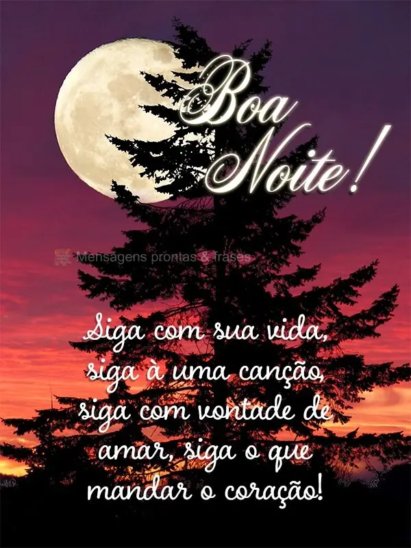 Siga com sua vida, siga à uma canção, siga com vontade de amar, siga o que mandar o coração! Boa noite!