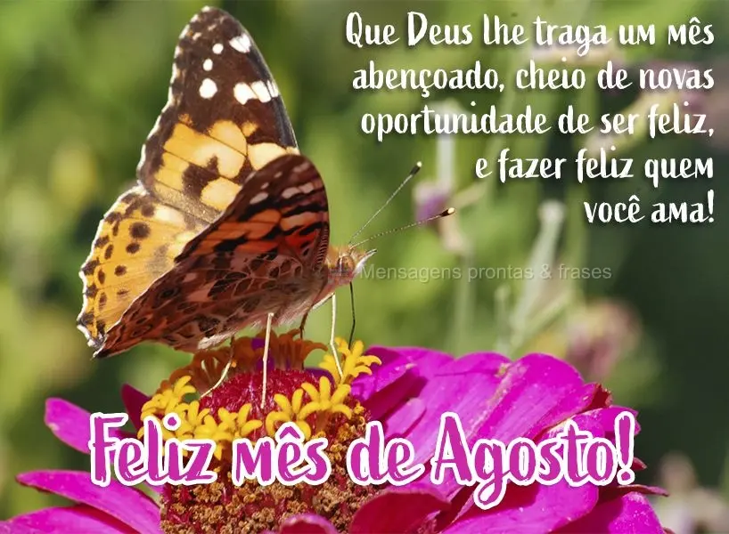 Que Deus lhe traga um mês abençoado, cheio de novas oportunidades de ser feliz e fazer feliz quem você ama! Feliz mês de Agosto!