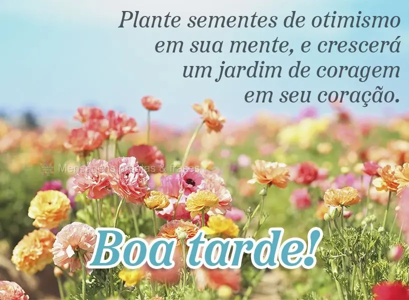 Plante sementes de otimismo em sua mente e crescerá um jardim de coragem em seu coração Boa tarde!