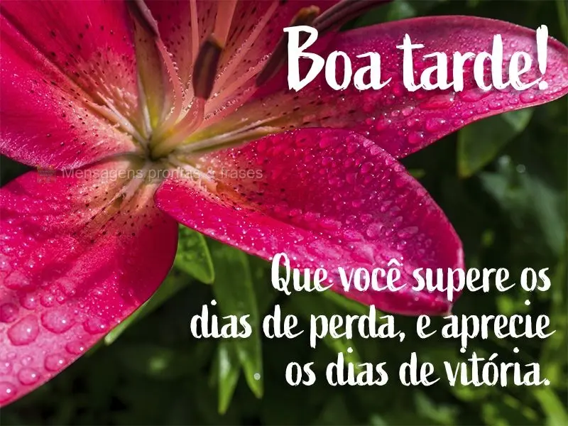 Que você supere os dias de perda e aprecie os dias de vitória. Boa tarde!