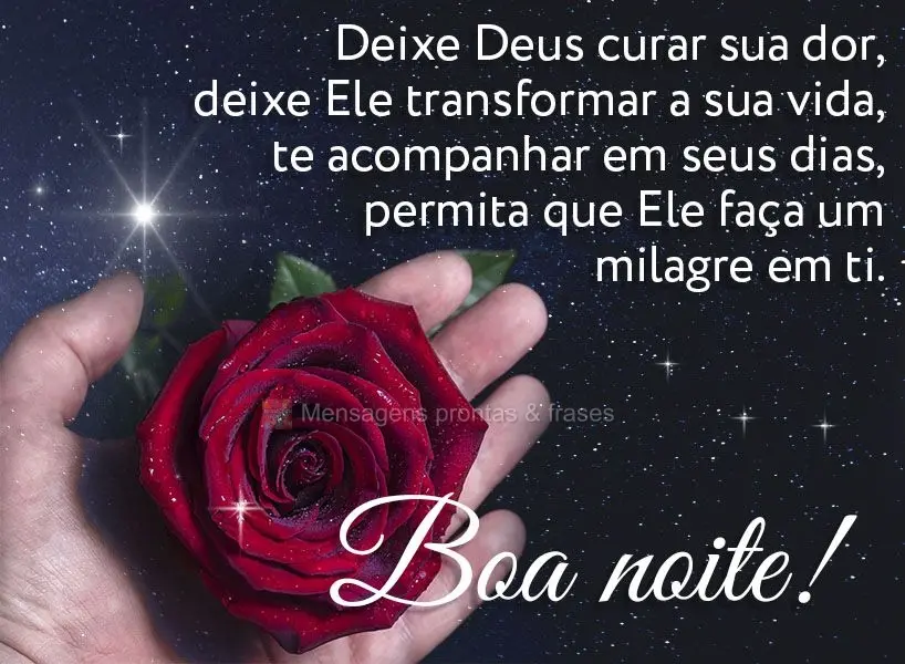 Deixe Deus curar sua dor, deixe Ele transformar a sua vida, te acompanhar em seus dias. Permita que Ele faça um milagre em ti. Boa noite!