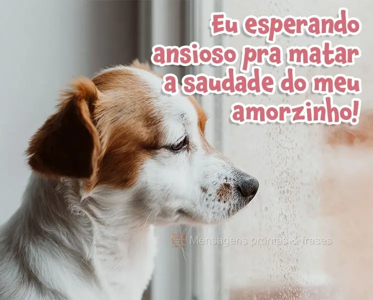 Eu esperando ansioso pra matar a saudade do meu amorzinho!