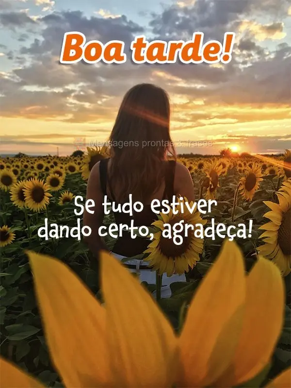 Se tudo estiver dando certo, agradeça! Boa tarde!