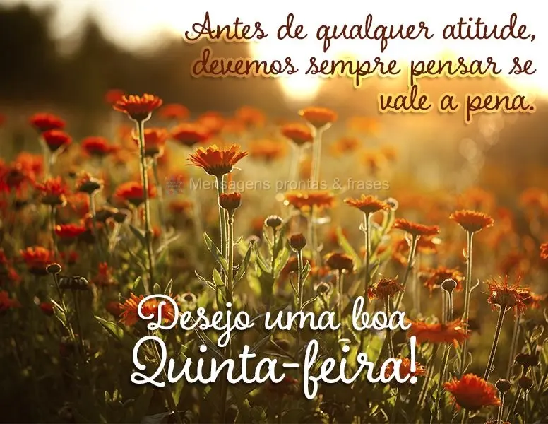 Antes de qualquer atitude, devemos sempre pensar se vale a pena. Desejo uma boa Quinta-feira!