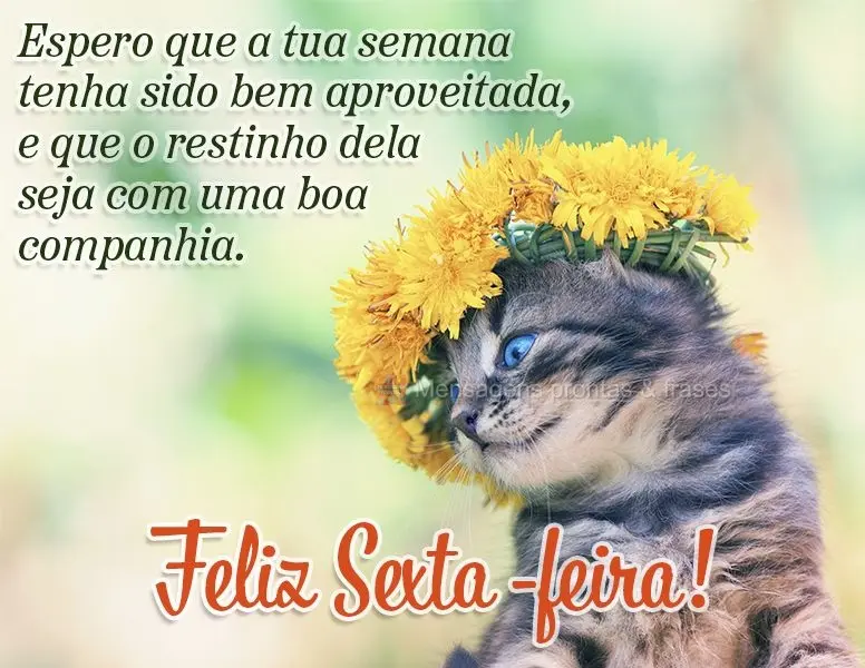 Espero que a tua semana tenha sido bem aproveitada e que o restinho dela seja com uma boa companhia. Feliz Sexta-feira!