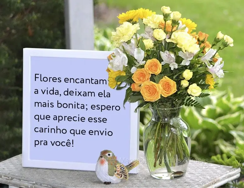 Flores encantam a vida, deixam ela mais bonita. Espero que aprecie esse carinho que envio pra você!