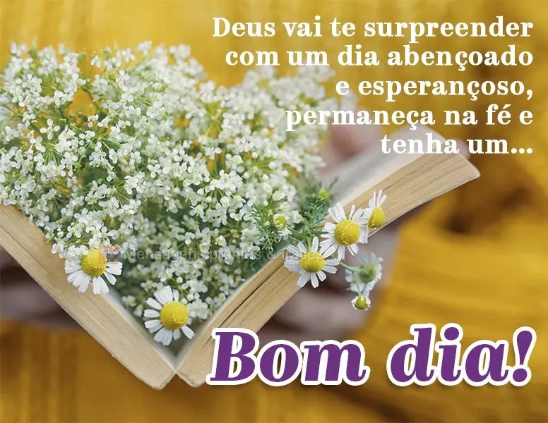 Deus vai te surpreender com um dia abençoado e esperançoso, permaneça na fé e tenha um... Bom dia!