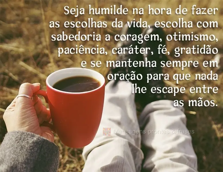 Seja humilde na hora de fazer as escolhas da vida, escolha com sabedoria a coragem, otimismo, paciência, caráter, fé, gratidão e se mantenha sempre e...