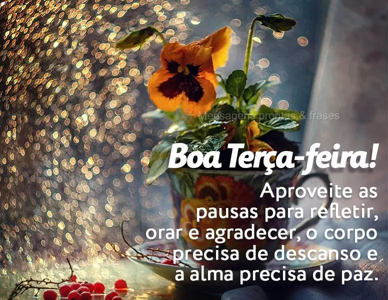 Aproveite as pausas para refletir, orar e agradecer, o corpo precisa de descanso e alma precisa de paz. Boa Terça-feira!