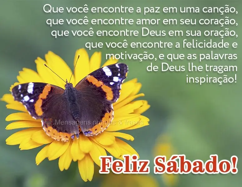 Que você encontre a paz em uma canção, que você encontre amor em seu coração, que você encontre Deus em sua oração, que você encontre a felicid...