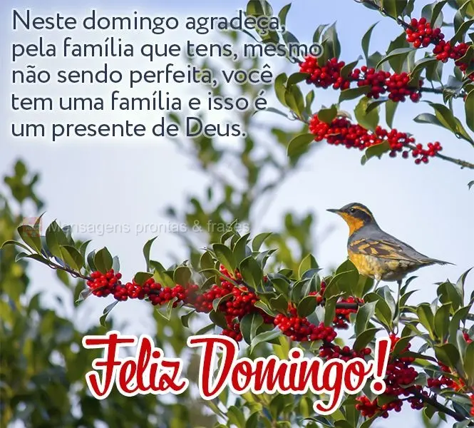 Neste domingo agradeça pela família que tens, mesmo não sendo perfeita. Você tem uma família e isso é um presente de Deus. Feliz Domingo!