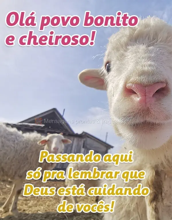 Olá povo bonito e cheiroso! Passando aqui só pra lembrar que Deus está cuidando de vocês!