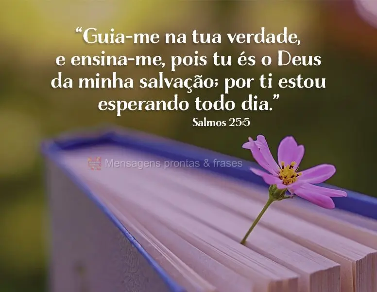 "Guia-me na tua verdade e ensina-me, pois tu és o Deus da minha salvação; por ti estou esperando todo dia." Salmos 25:5