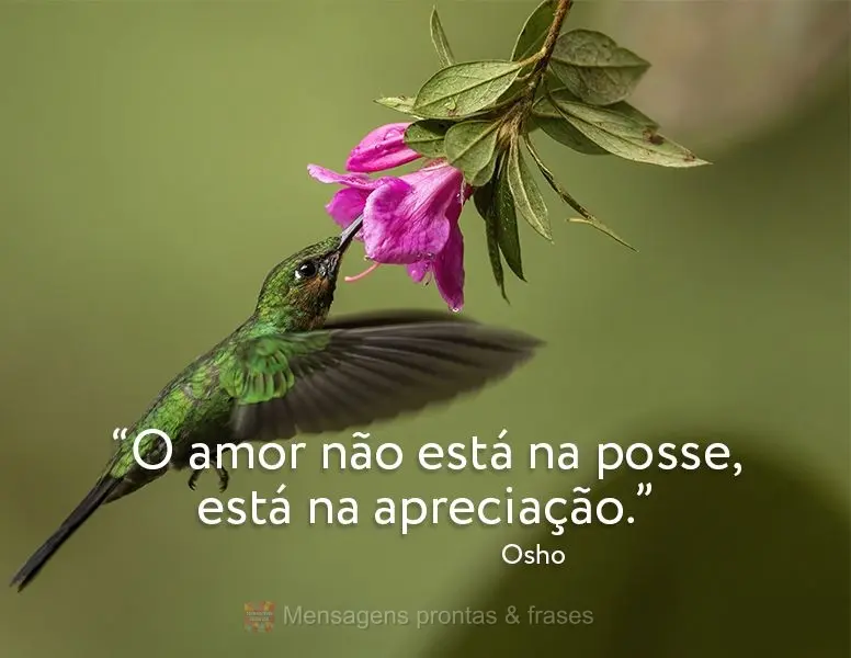 Amor (Aleatórios) - Página 42 | Mensagens prontas & Frases