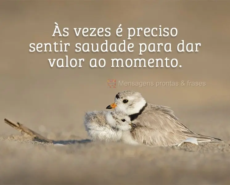 As vezes é preciso sentir saudade para dar valor ao momento.