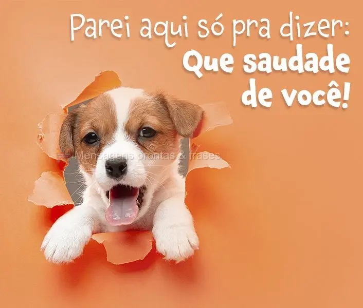 Parei aqui só pra dizer: Que saudade de você!