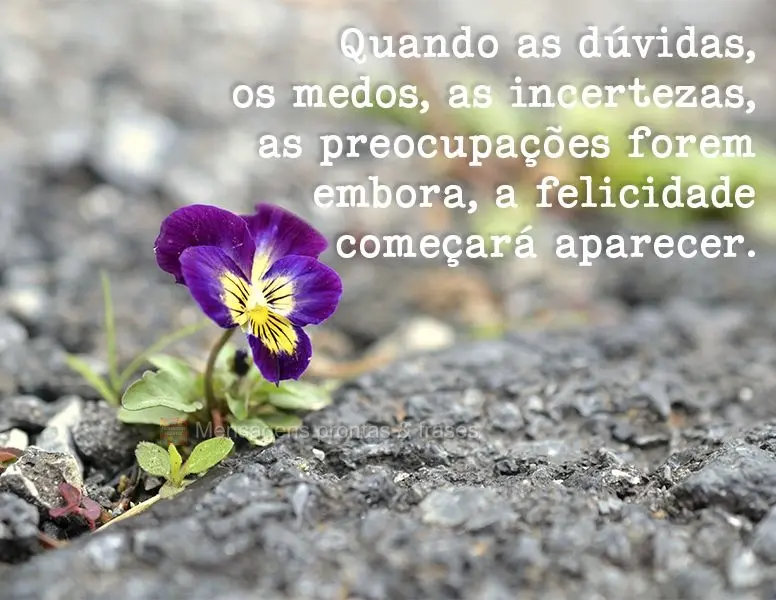 Quando as dúvidas, os medos, as incertezas, as preocupações forem embora, a felicidade começará aparecer.