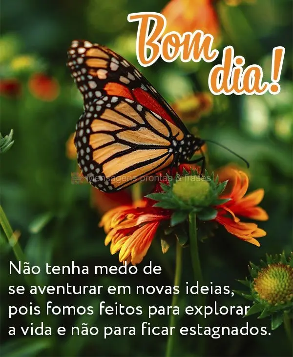 Não tenha medo de se aventurar em novas ideias, pois fomos feitos para explorar a vida e não para ficar estagnados. Bom dia!