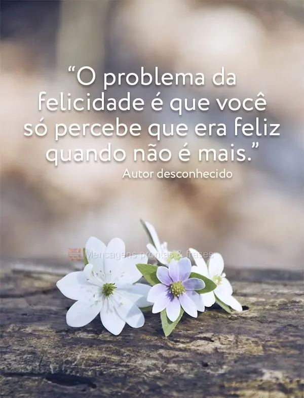 “O problema da felicidade é que você só percebe que era feliz quando não é mais.” Autor desconhecido