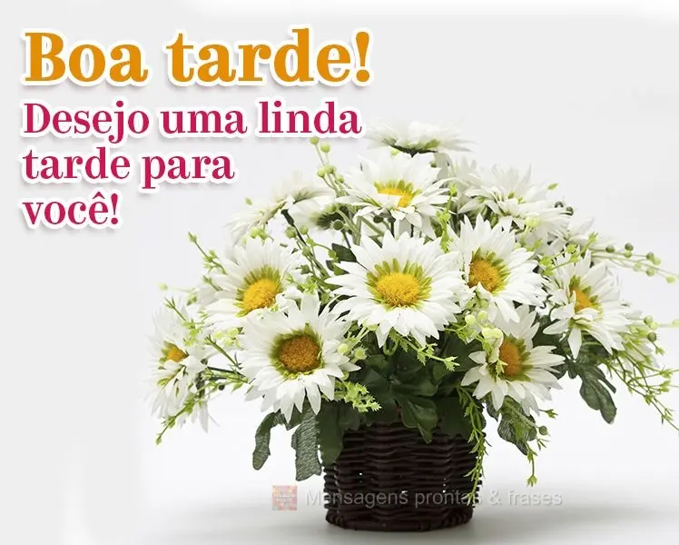 Desejo uma linda tarde para você! Boa tarde!