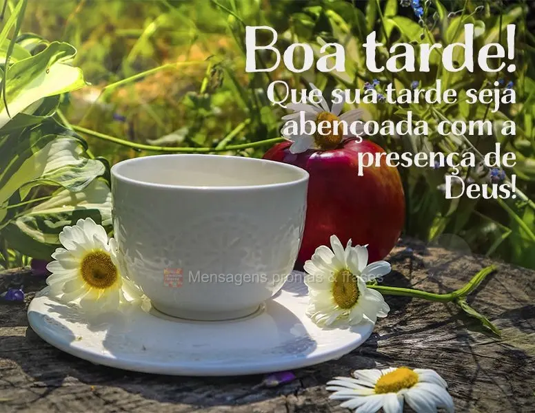 Que sua tarde seja abençoada com a presença de Deus! Boa tarde!