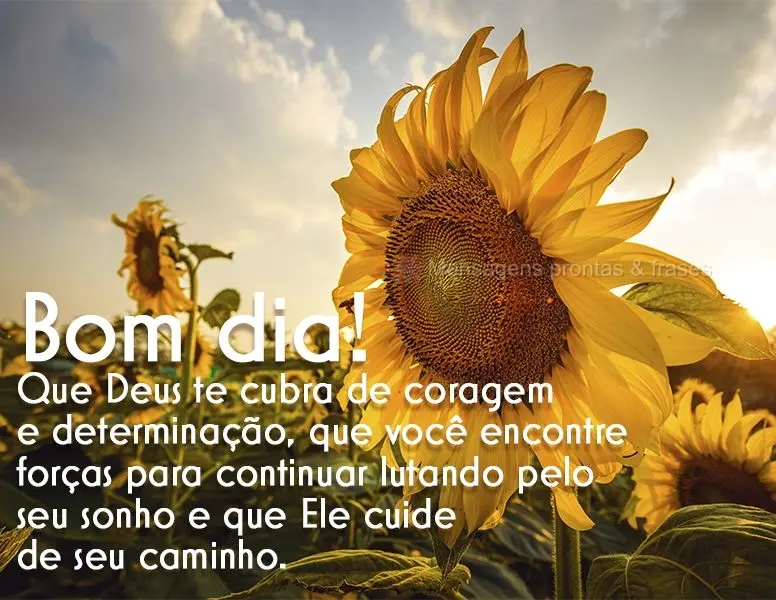 Que Deus te cubra de coragem e determinação, que você encontre forças para continuar lutando pelo seu sonho e que Ele cuide de seu caminho. Bom dia!...