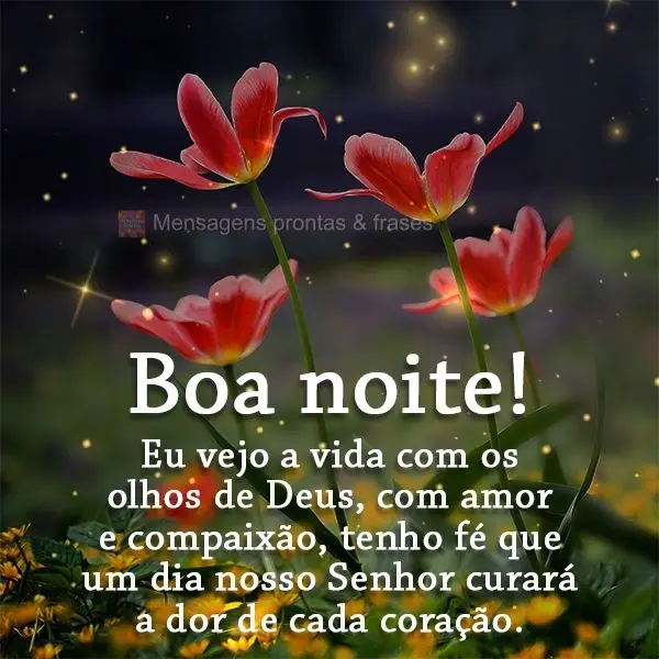 Eu vejo a vida com os olhos de Deus, com amor e compaixão, tenho fé que um dia nosso Senhor curará a dor de cada coração. Boa noite!