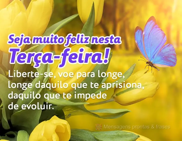 Liberte-se, voe para longe, longe daquilo que te aprisiona, daquilo que te impede de evoluir.  Seja muito feliz nesta Terça-feira!