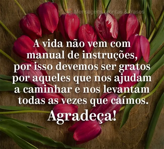 A vida não vem com manual de instruções, por isso devemos ser gratos por aqueles que nos ajudam a caminhar e nos levantam todas as vezes que caímos. ...