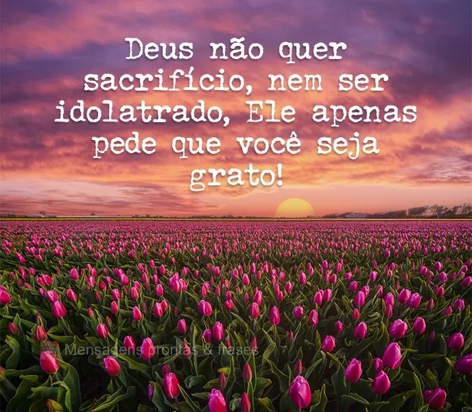 Deus não quer sacrifício, nem ser idolatrado, Ele apenas pede que você seja grato!