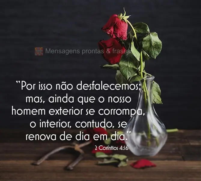 “Por isso não desfalecemos; mas, ainda que o nosso homem exterior se corrompa, o interior, contudo, se renova de dia em dia.” 2 Coríntios 4:16